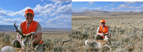 Atypical.jpg Atypical.jpg