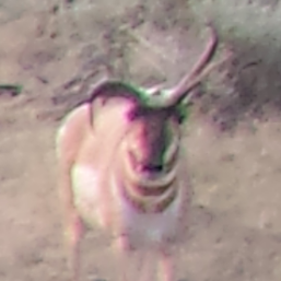 Corkscrew.png Corkscrew.png