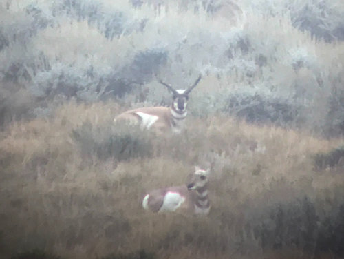 IMG_0020.jpg IMG_0020.jpg