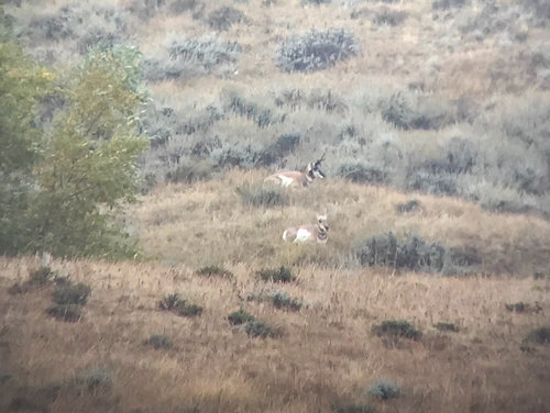 IMG_0021.jpg IMG_0021.jpg