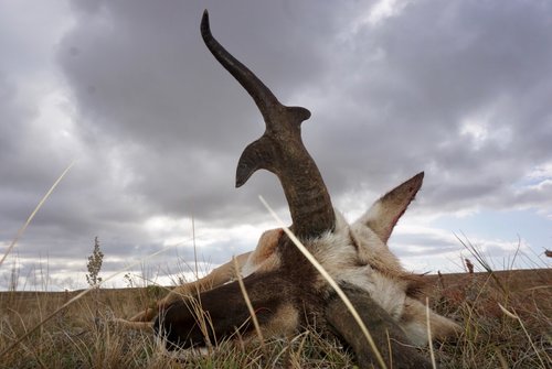 IMG_0908.JPG IMG_0908.JPG