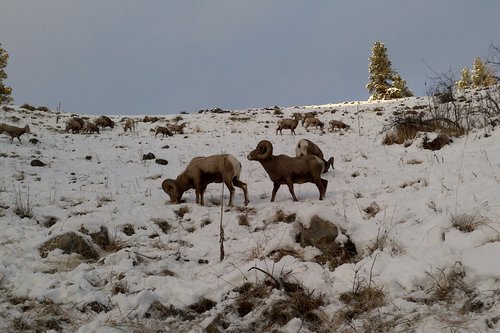 DSC00482 (2).jpg DSC00482 (2).jpg