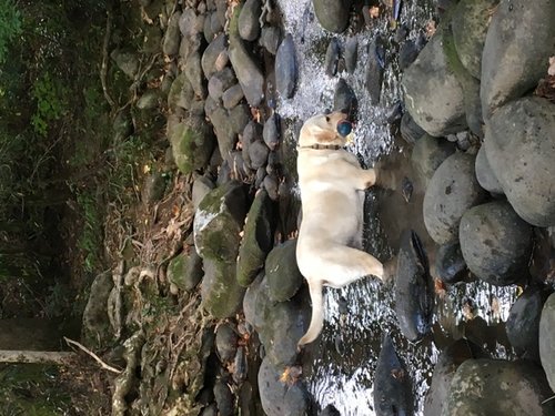 0A70F3D3-45B4-495F-89AD-D992F4D96116.jpeg 0A70F3D3-45B4-495F-89AD-D992F4D96116.jpeg