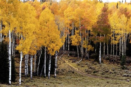 79738AE3-7EB0-4653-BCAC-0E4D5ED84C12.jpeg 79738AE3-7EB0-4653-BCAC-0E4D5ED84C12.jpeg