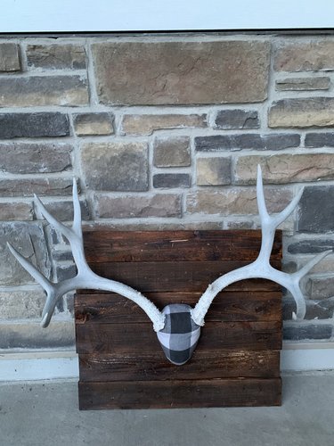 337F2BF5-9804-420C-AC64-5660F602F053.jpeg 337F2BF5-9804-420C-AC64-5660F602F053.jpeg