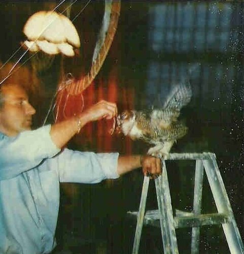 58 (13).jpg 58 (13).jpg