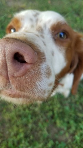 20170825_183744.jpg 20170825_183744.jpg