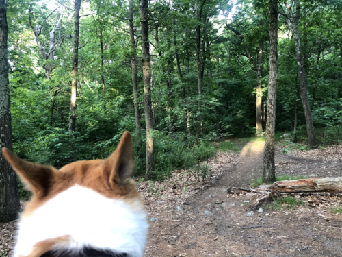 1592311941427.png 1592311941427.png