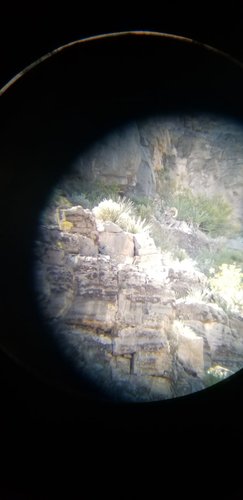 IMG-20191009-WA0058.jpg IMG-20191009-WA0058.jpg