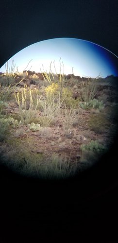 IMG-20191010-WA0005.jpg IMG-20191010-WA0005.jpg
