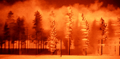 1592512913767.gif 1592512913767.gif