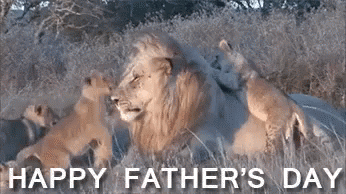 7D0F8F4F-309D-4AFD-BF5F-4AFEB02BE8C0.gif 7D0F8F4F-309D-4AFD-BF5F-4AFEB02BE8C0.gif