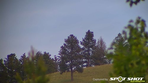 15x -1.jpg 15x -1.jpg