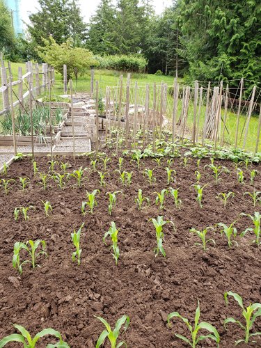 June 21st 2020 6.23.20.jpg