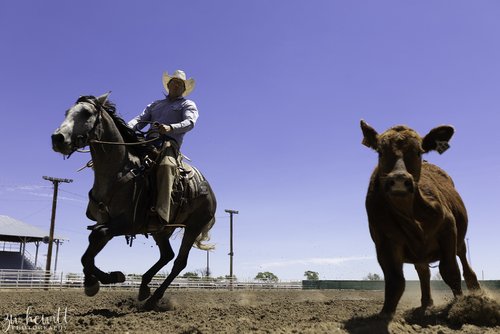 HugoRR_2020_RHAA Ranch Horse Show.jpg