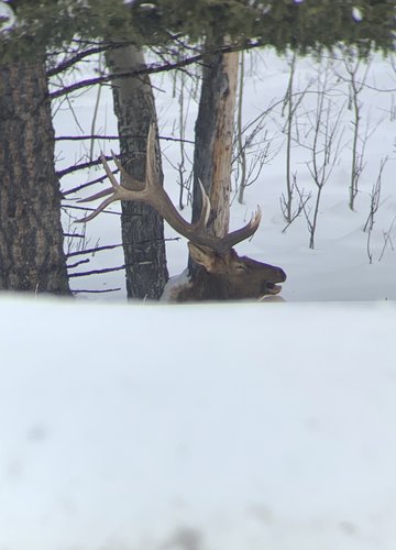 09FB391F-F09C-423E-993E-AF0F63449998.jpeg 09FB391F-F09C-423E-993E-AF0F63449998.jpeg