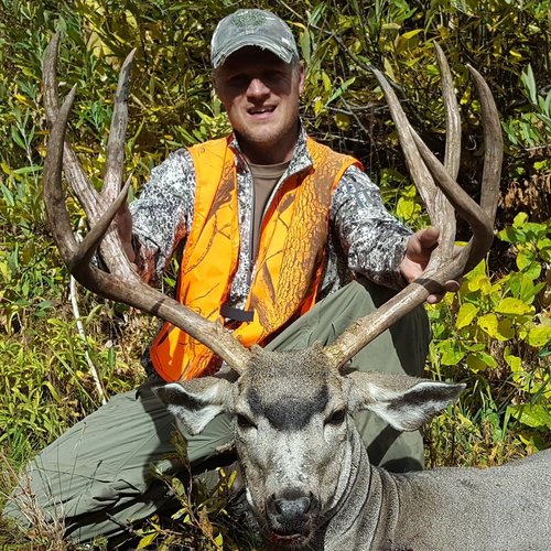 WY Buck.jpg WY Buck.jpg