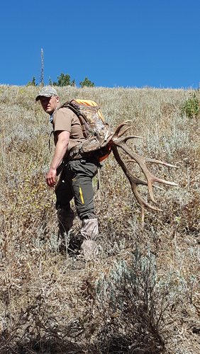 WY Elk.jpg WY Elk.jpg
