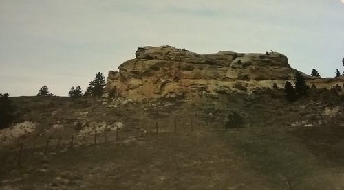 20200701_190619.jpg