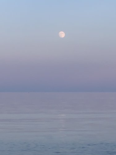 E4CB16FF-2555-47FC-8F69-375C5E593E99.jpeg