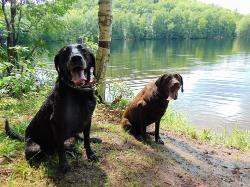 Sayner and Tank at Tahoe Lake (3).JPG