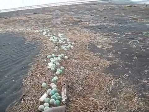AK glass floats in bay.jpg AK glass floats in bay.jpg