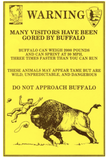 flyer.jpg.png flyer.jpg.png