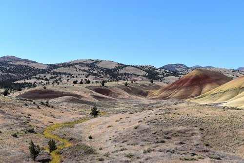 DSC_0026r.jpg