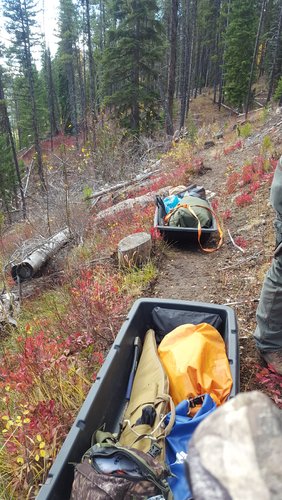 20171023_153917.jpg 20171023_153917.jpg
