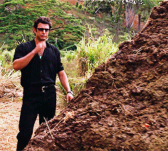 1594491635879.gif 1594491635879.gif