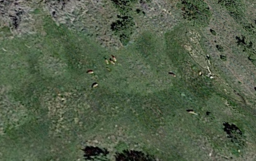 Elk.png Elk.png