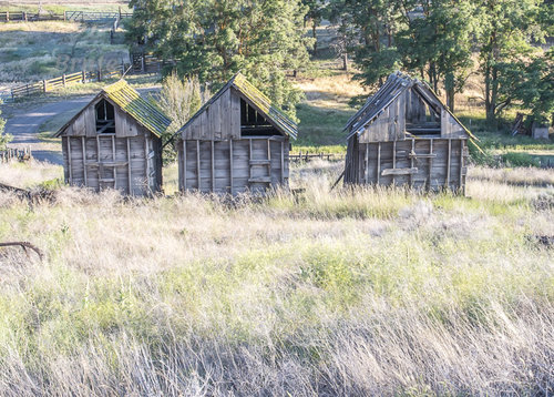 Old  House July 2020 a -4671.JPG