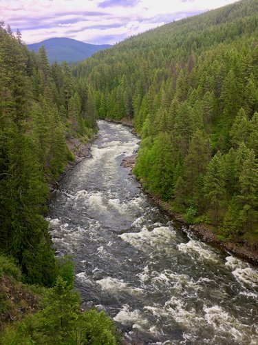 IMG_4594.jpg IMG_4594.jpg