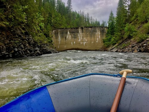 IMG_4625.jpg IMG_4625.jpg