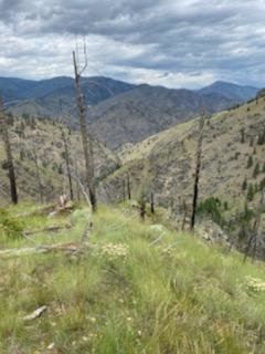 Ridge Running.jpg Ridge Running.jpg