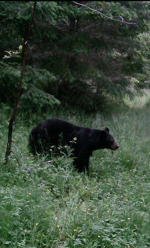 BC6420DE-225A-4CAC-9208-F65728690F4A.jpeg BC6420DE-225A-4CAC-9208-F65728690F4A.jpeg