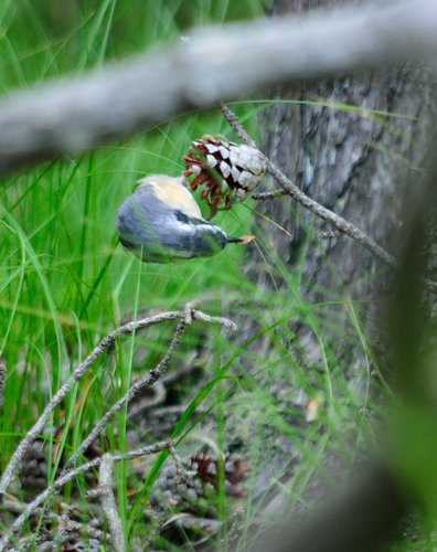 DSC_2224_311.JPG DSC_2224_311.JPG