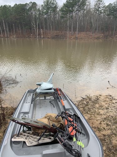 IMG_1439.JPG IMG_1439.JPG