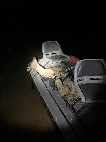 IMG_1483.JPG IMG_1483.JPG