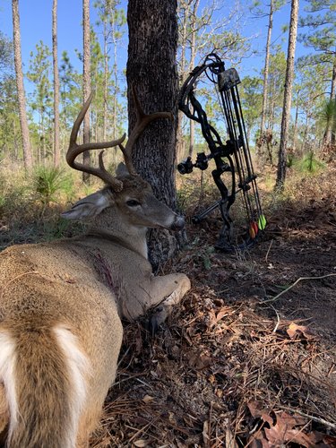 IMG_1613.JPG IMG_1613.JPG