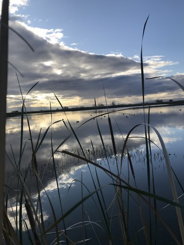 IMG_7431.jpeg IMG_7431.jpeg