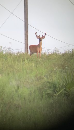 IMG_8385.jpg IMG_8385.jpg