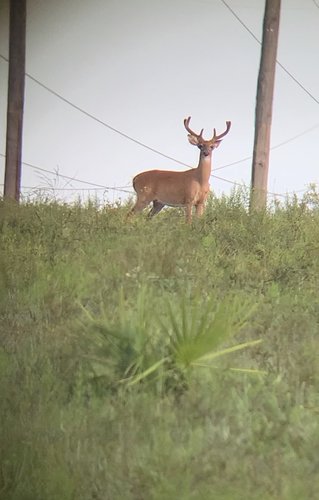 IMG_8386.jpg IMG_8386.jpg