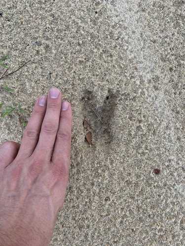 IMG_8401.jpg IMG_8401.jpg