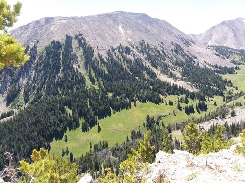 20200718_114836.jpg