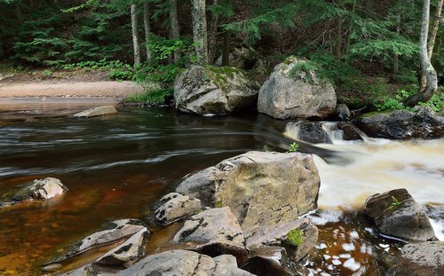 DSC_2418_352re.JPG