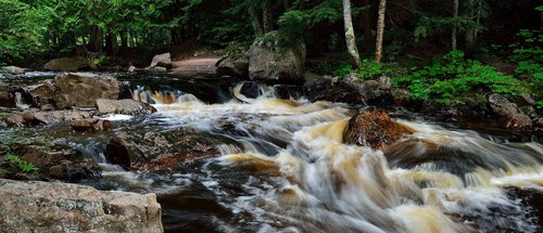 DSC_2410_351re.JPG