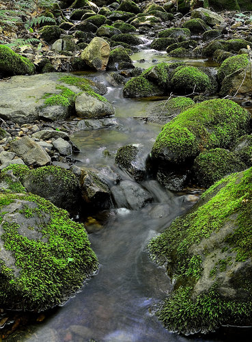 DSC_2454_358.JPG