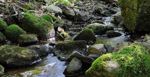 DSC_2456_357.JPG