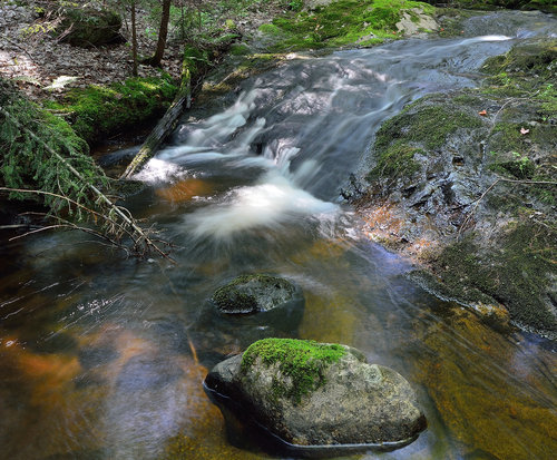 DSC_2458_356.JPG